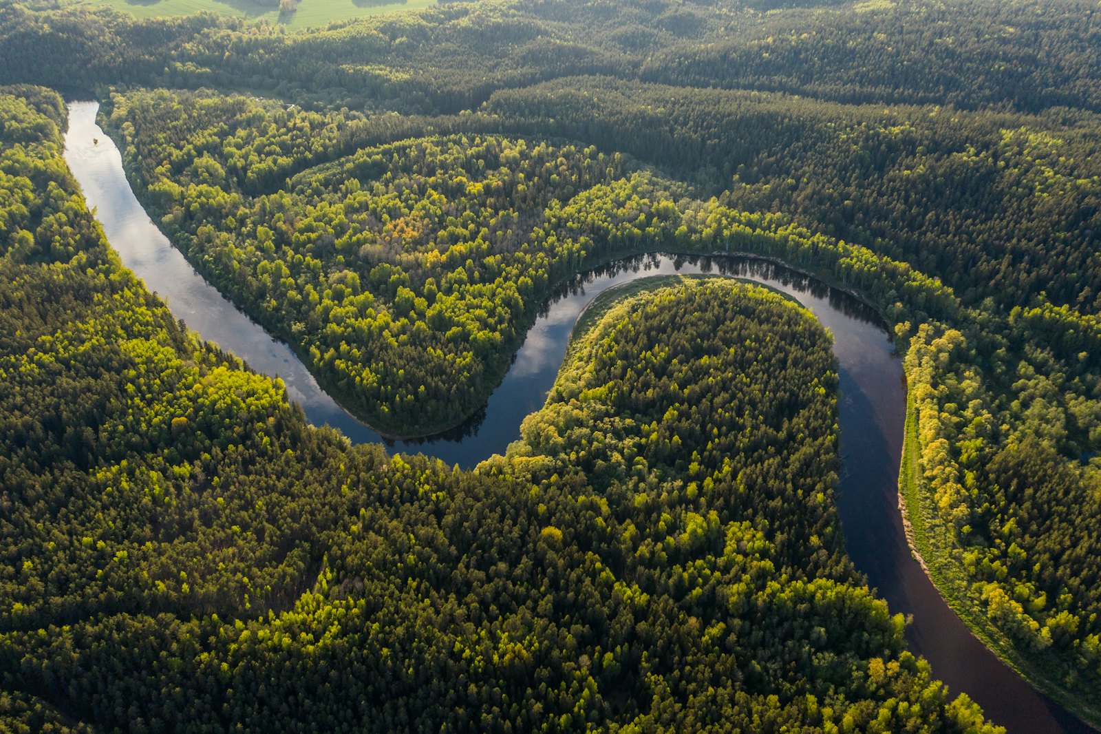 Amazon Lodge Escape