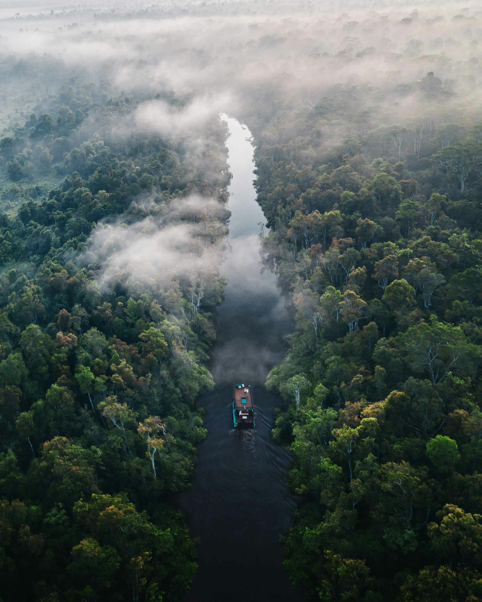 Amazon Lodge Escape 4