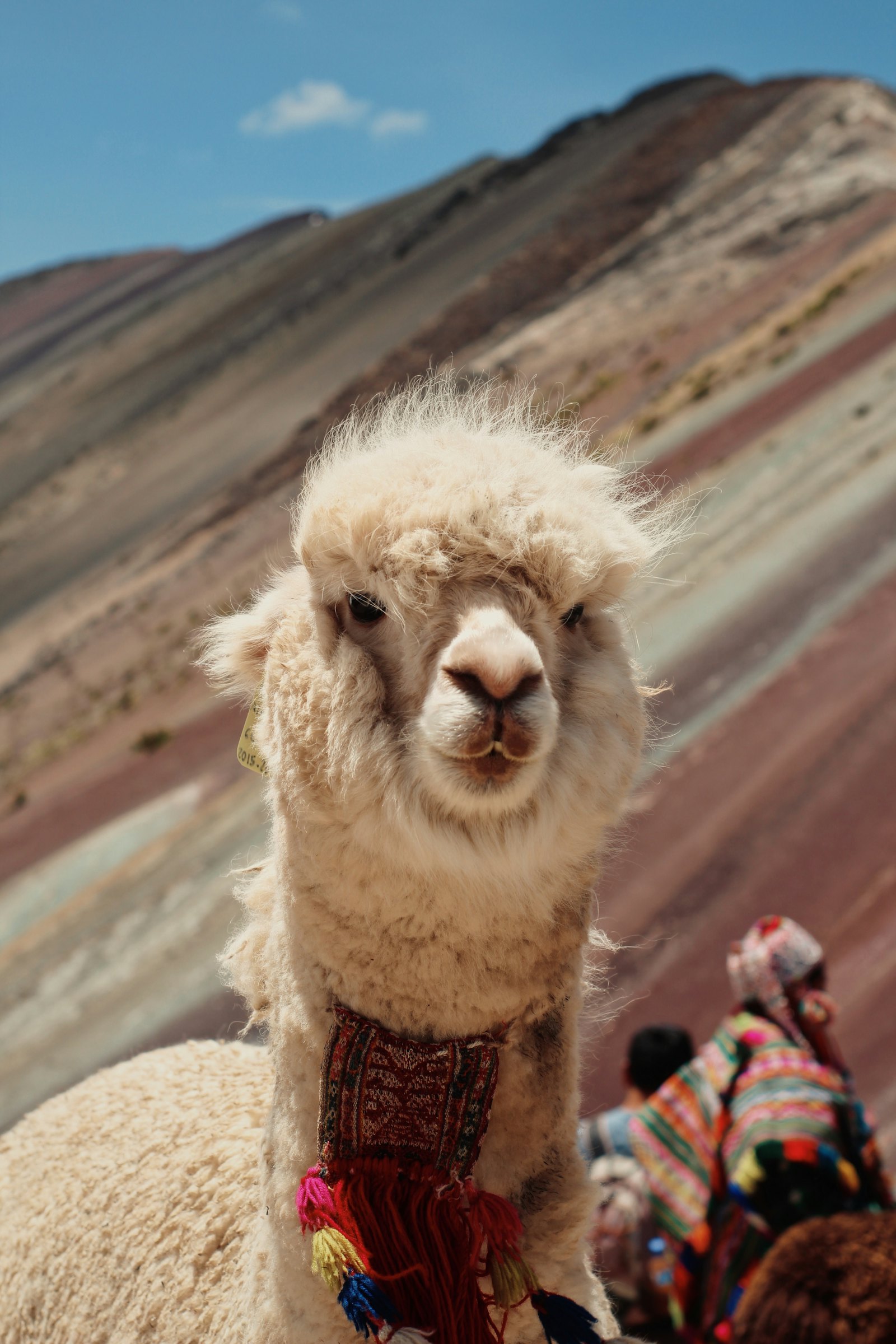 Cusco & the Sacred Valley 1