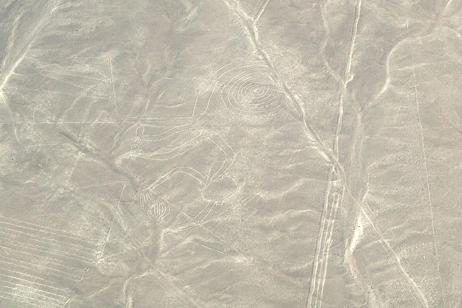 The Nazca Lines