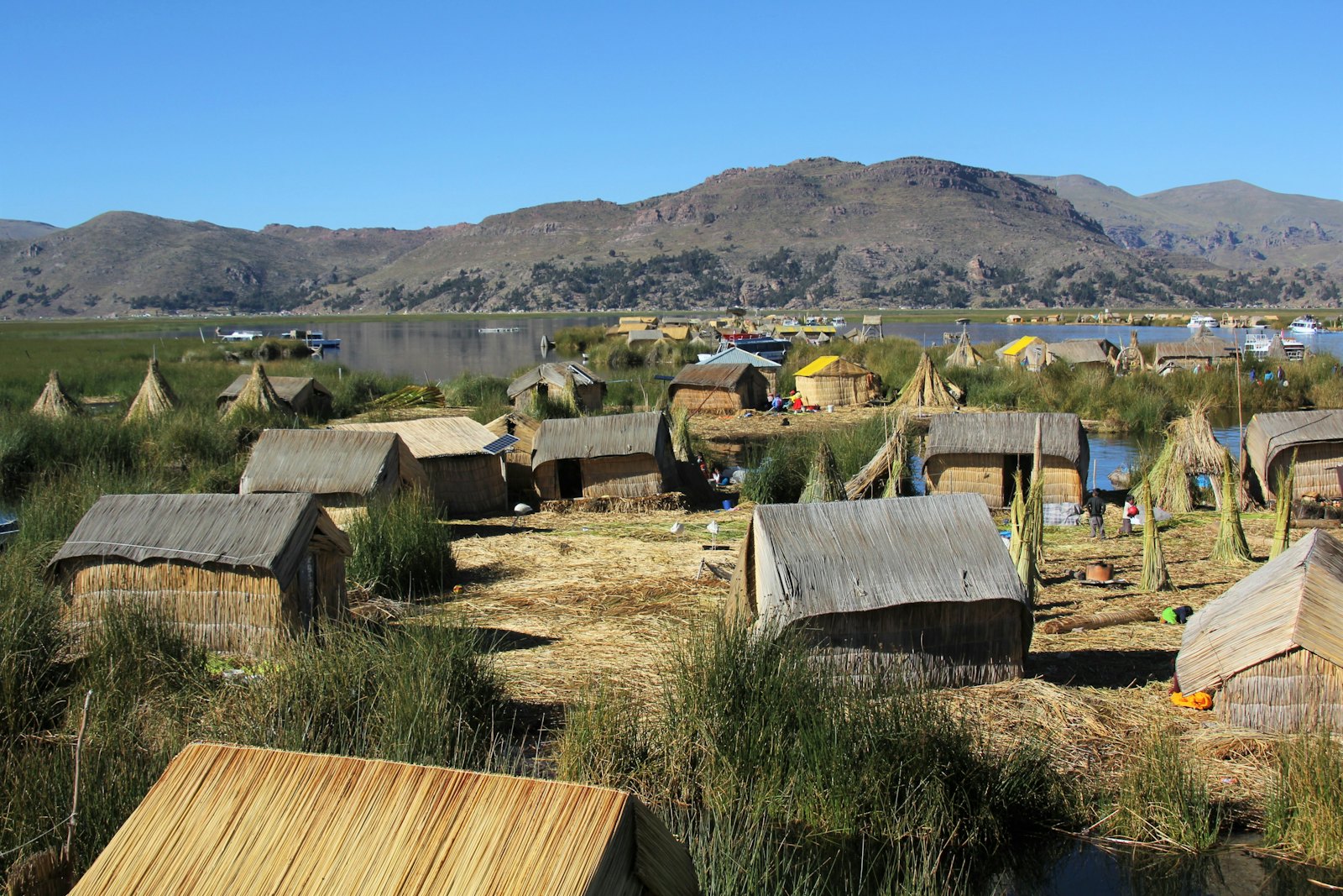 Puno 3